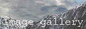 Image Gallery